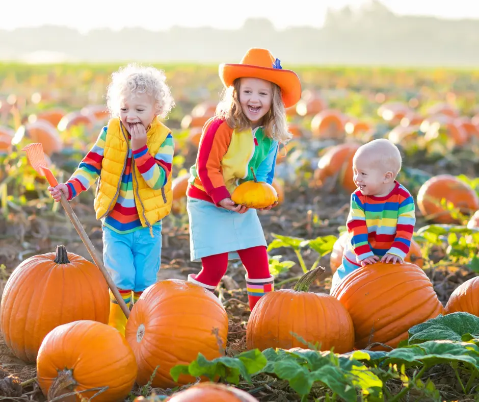 Utah Pumpkin Patches - Southern Utah