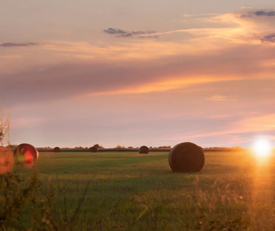 Best Family road trips in the USA