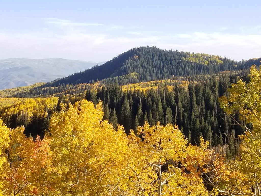 Fall Colors in Utah Guardsman pass