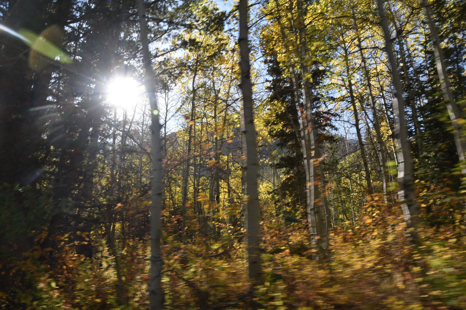 Fall colors in utah Hobble Creek