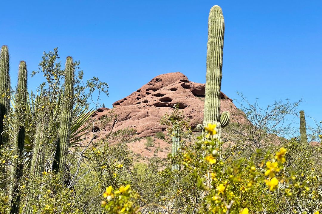 40thbirthday vacation ideas - Scottsdale Arizona
