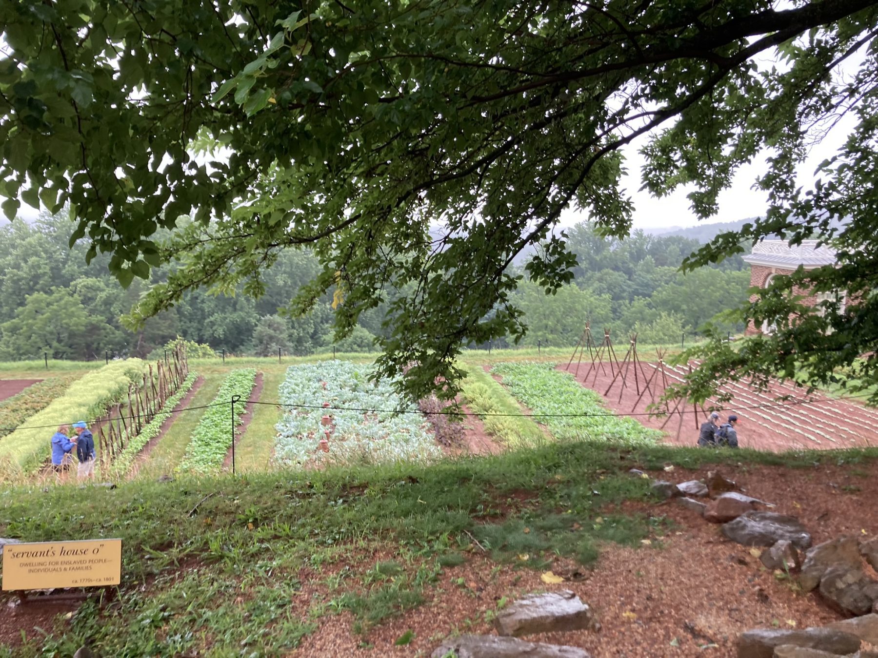 Gardens at Monticello