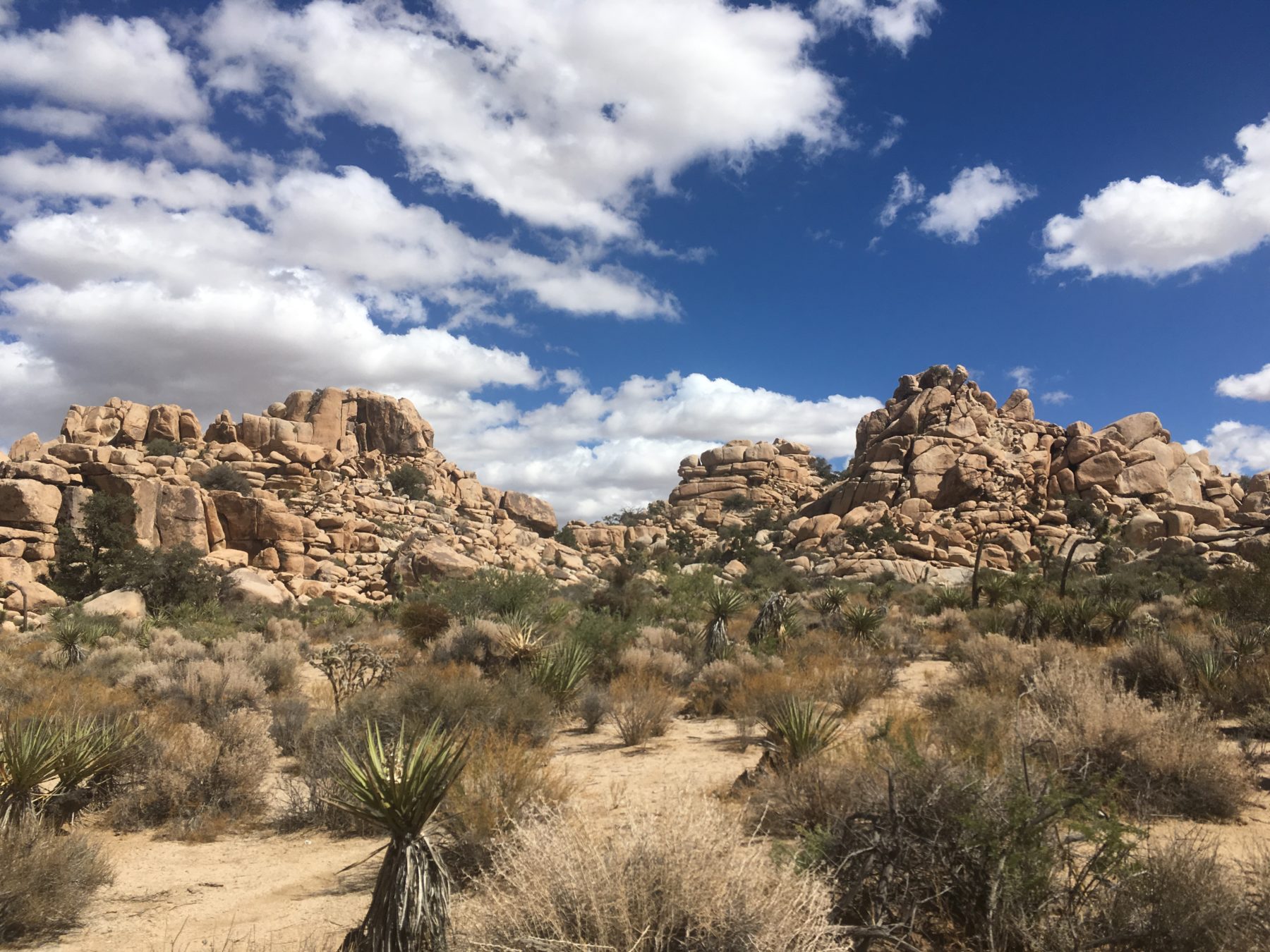 40th birthday destinations - Los Angeles