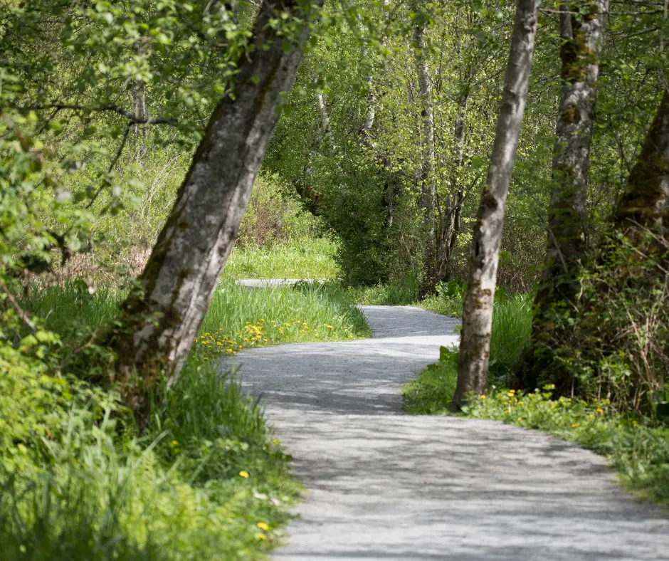 Bike to Mount Vernon