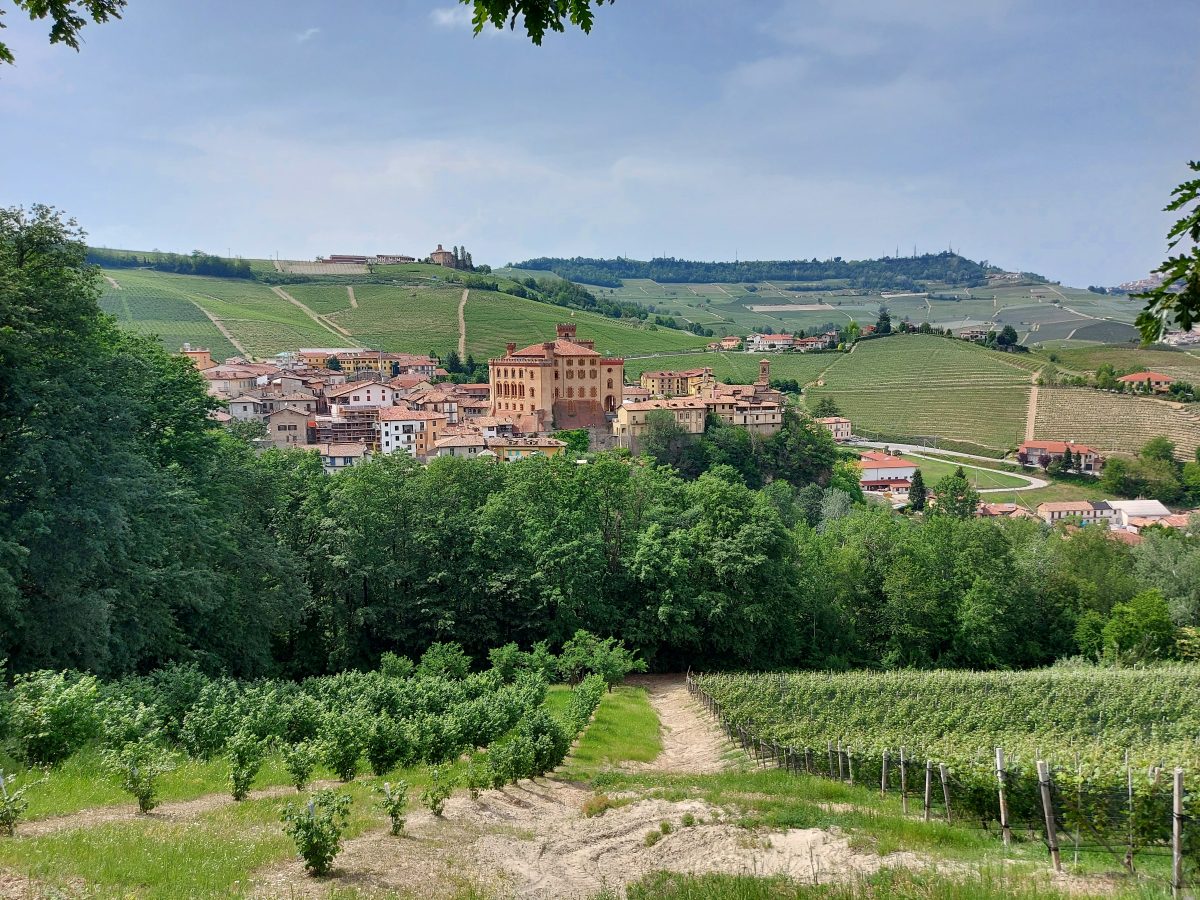 Souvenirs to bring home from Italy Wine