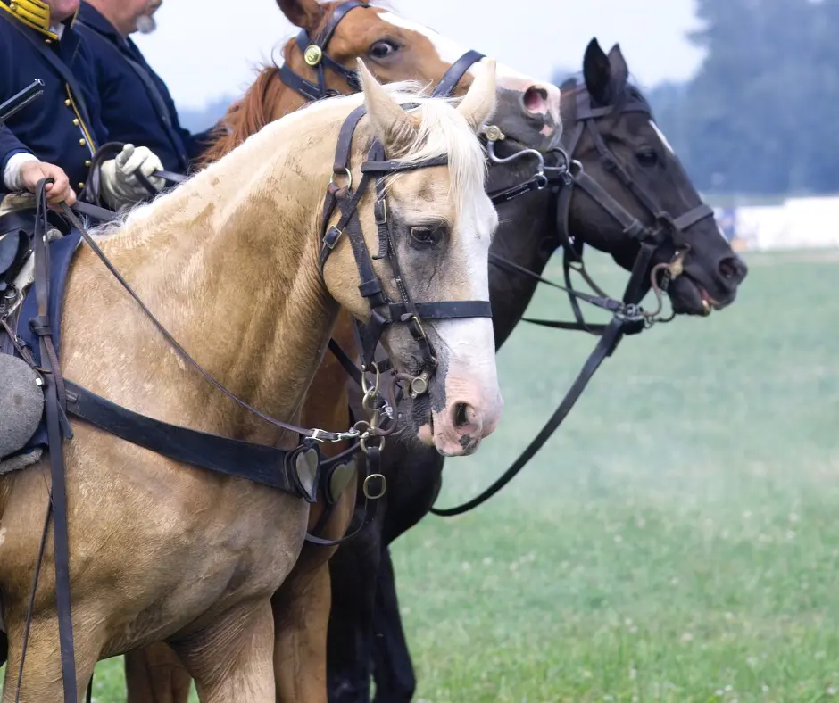 Gettysburg Horseback Tour