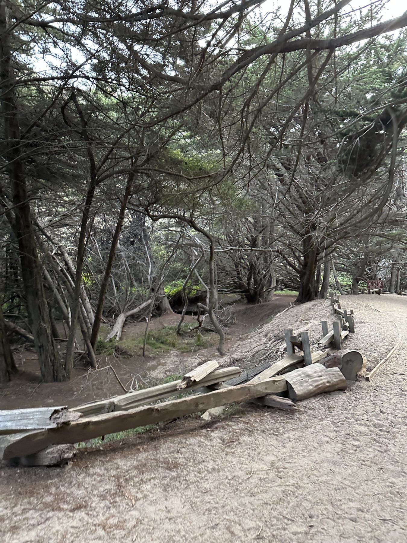 Big Sur Pfeiffer Beach parking