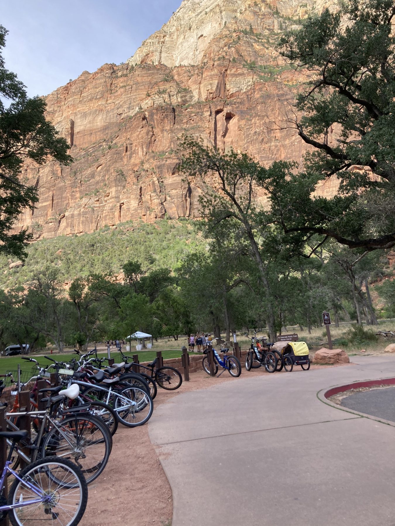 Biking in Zion National Park