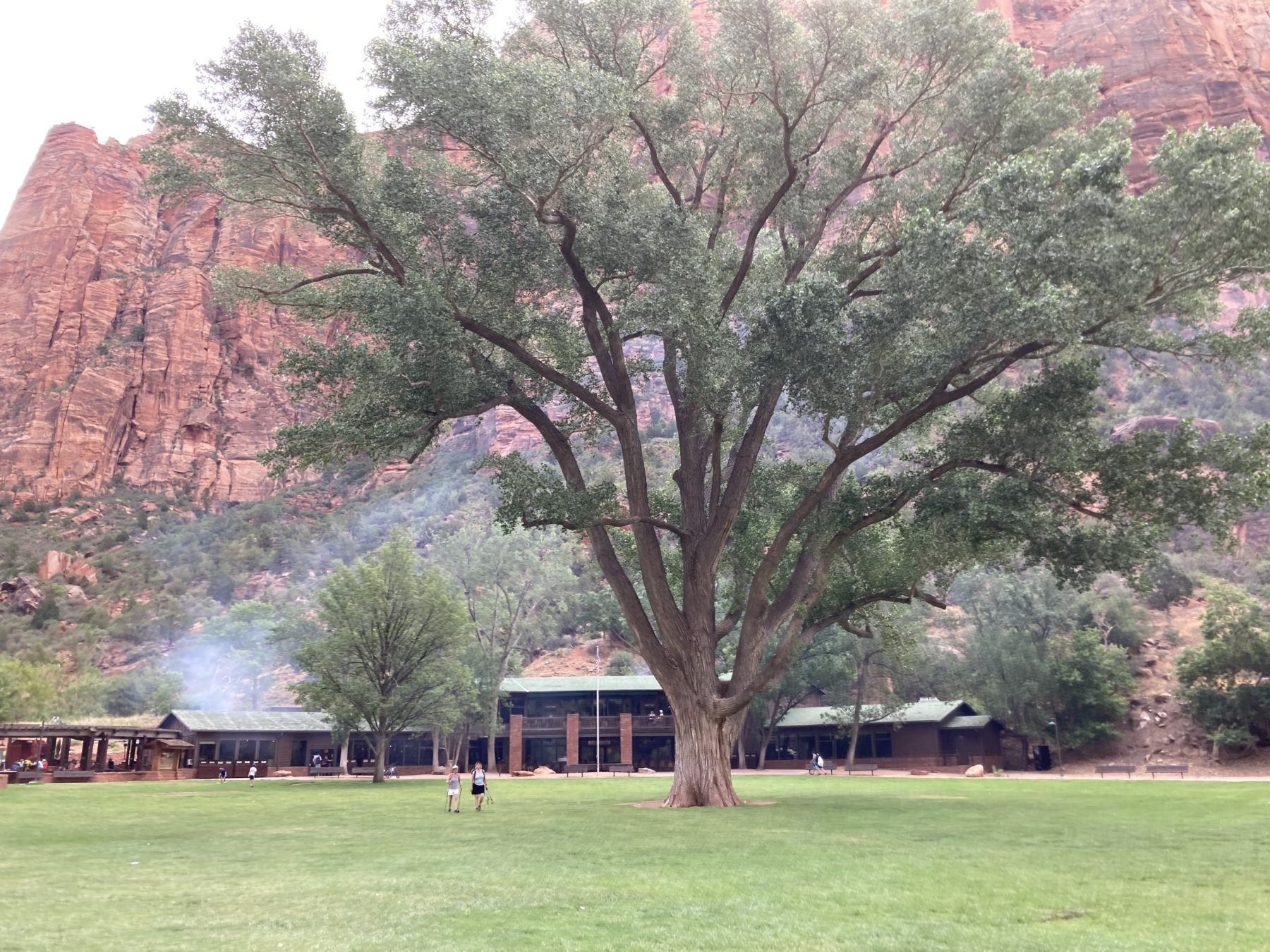 Grotto easy hike at Zion National Park