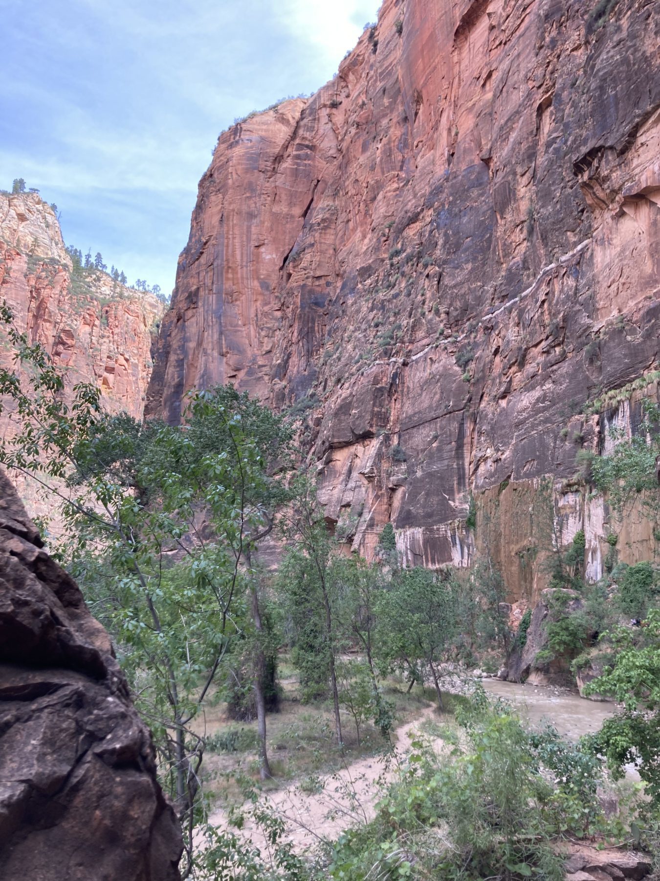 Zion National Park Itinerary