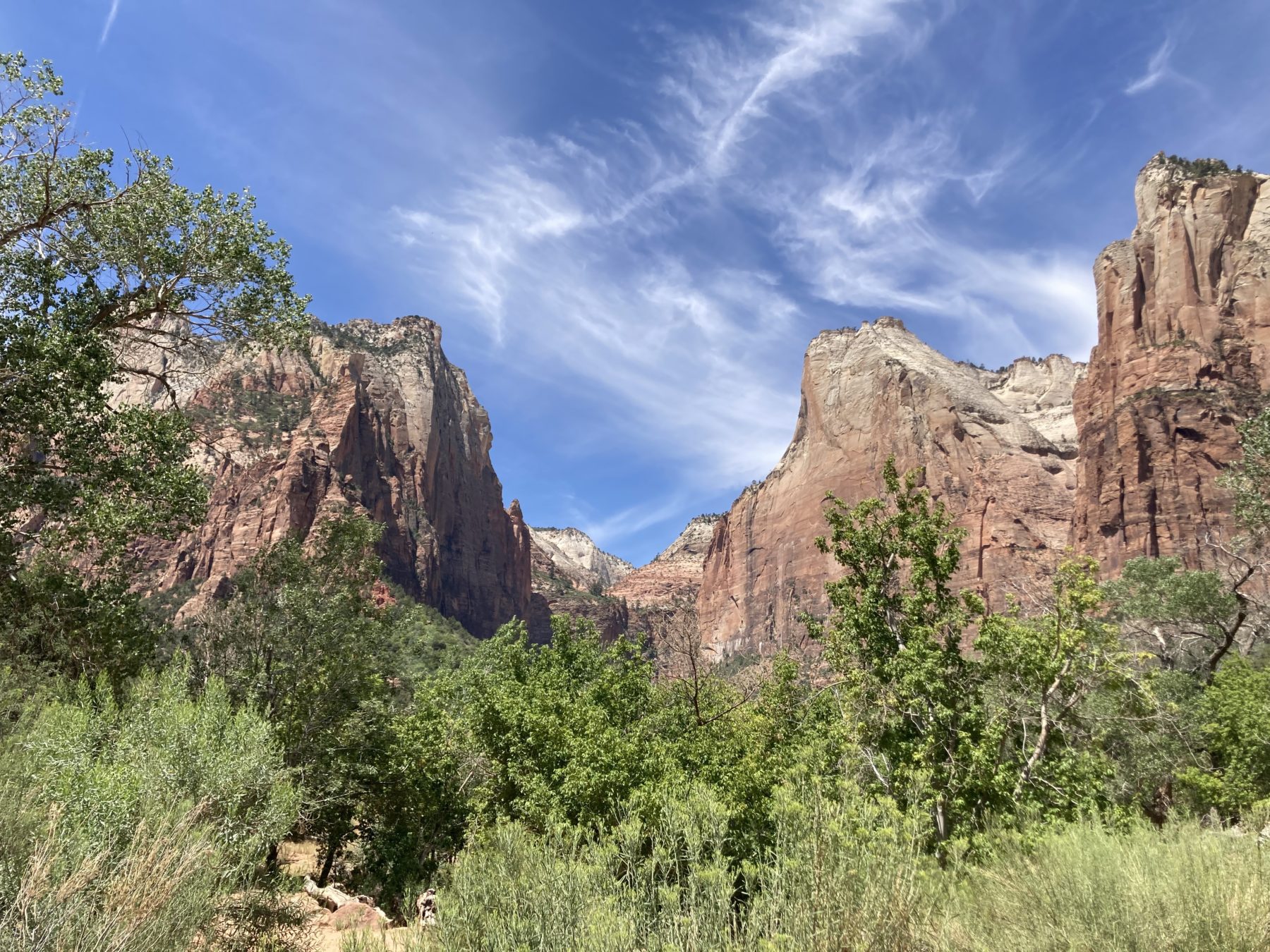 One day in Zion National Park