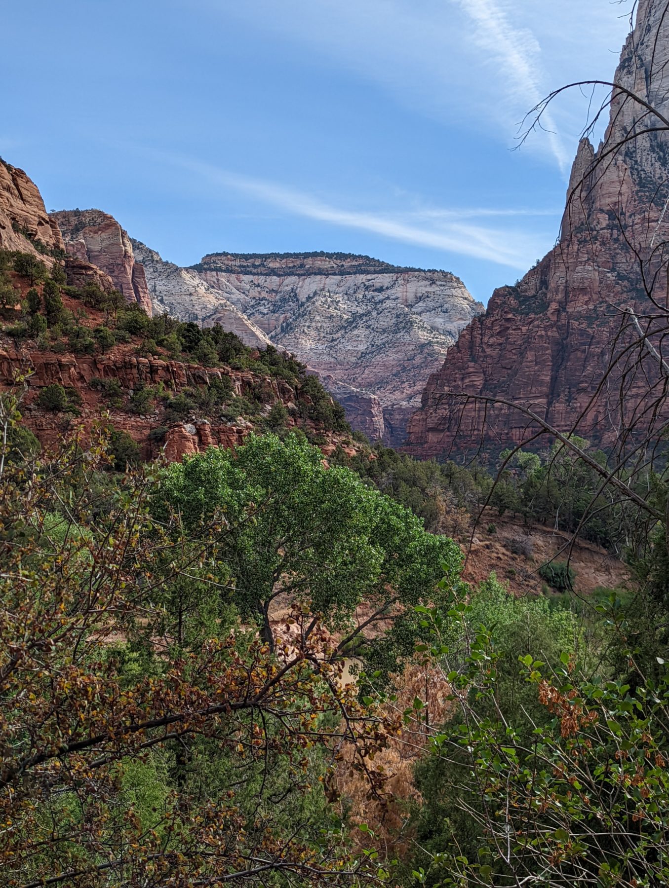 Zion National Park Itinerary