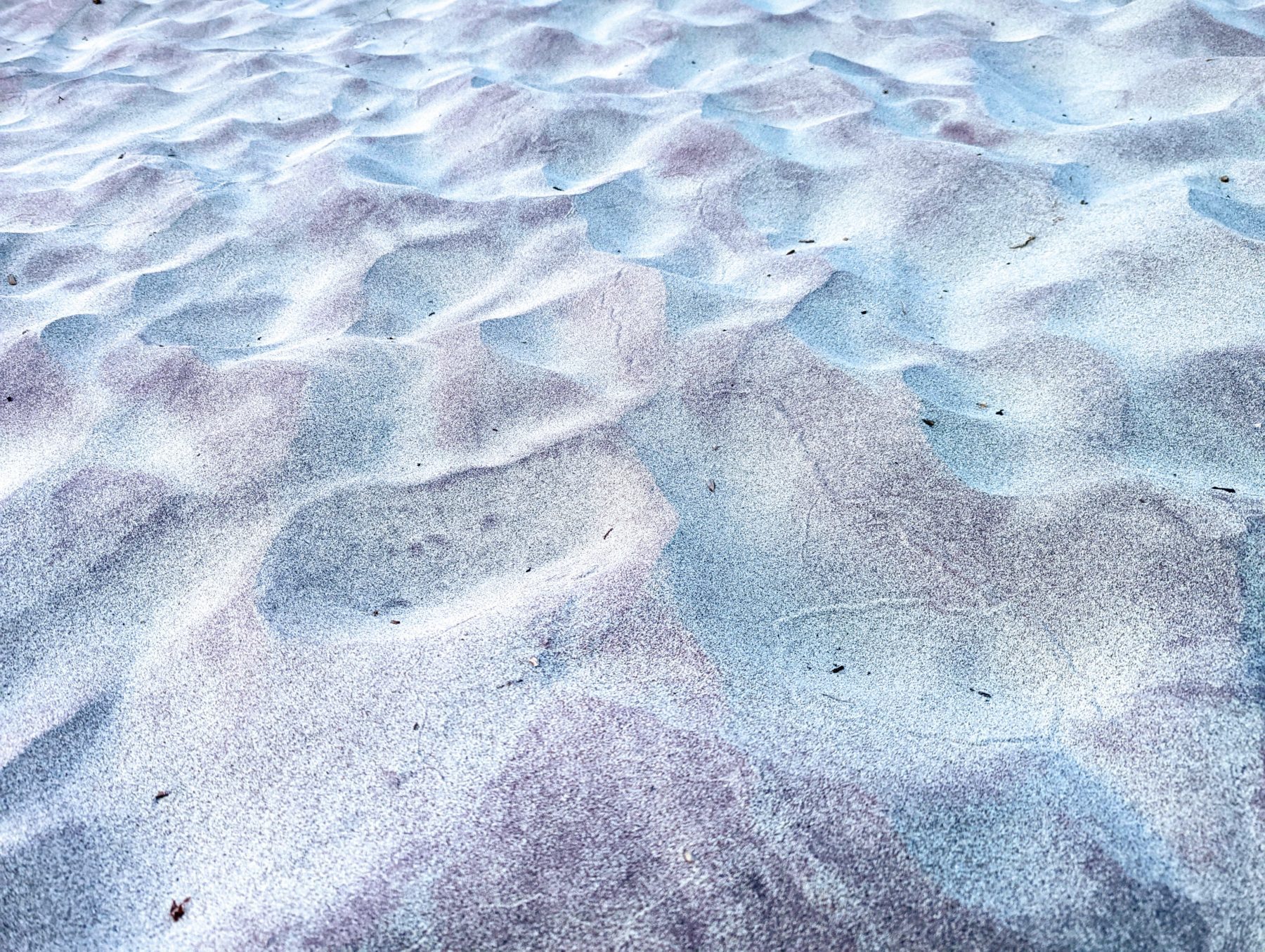 Purple beach big sur