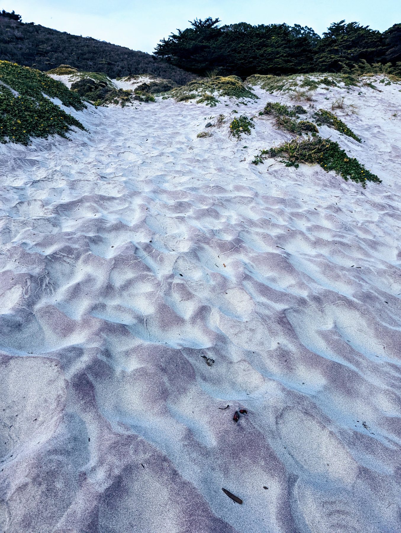 Purple Sand Beach -