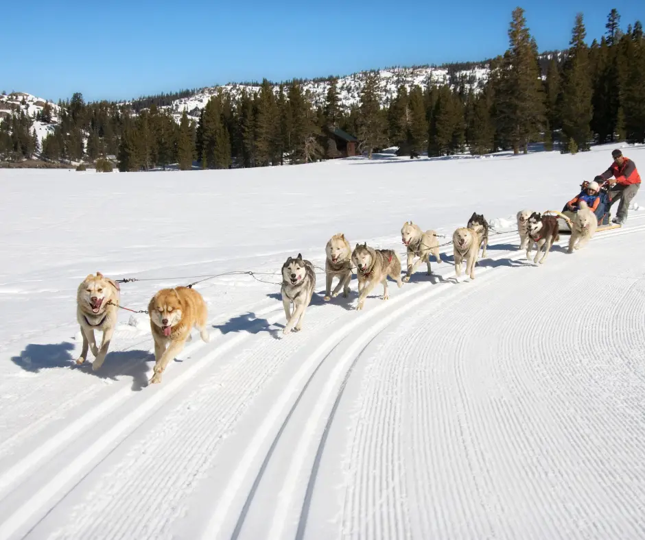 Park City snow activities