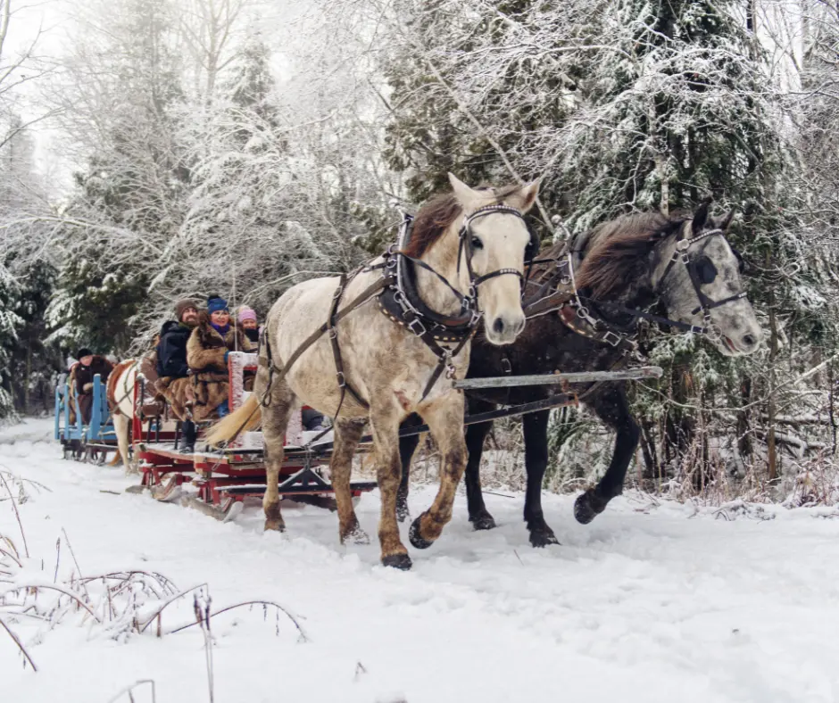 Winter Activities Park City Utah Sleigh ride