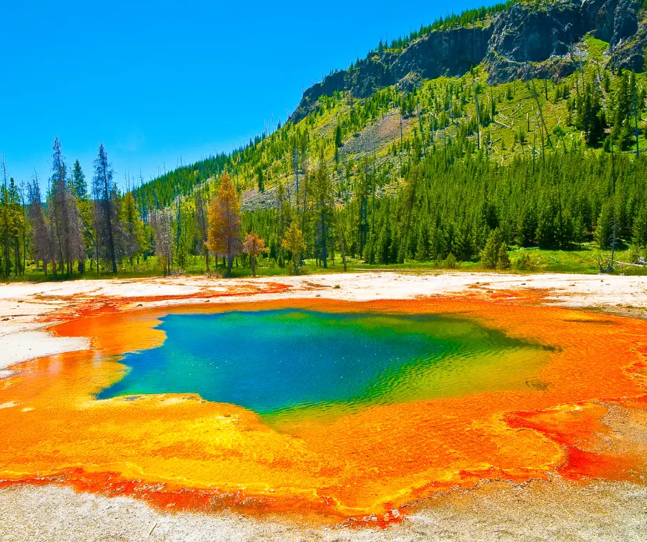 Yellowstone with kids 