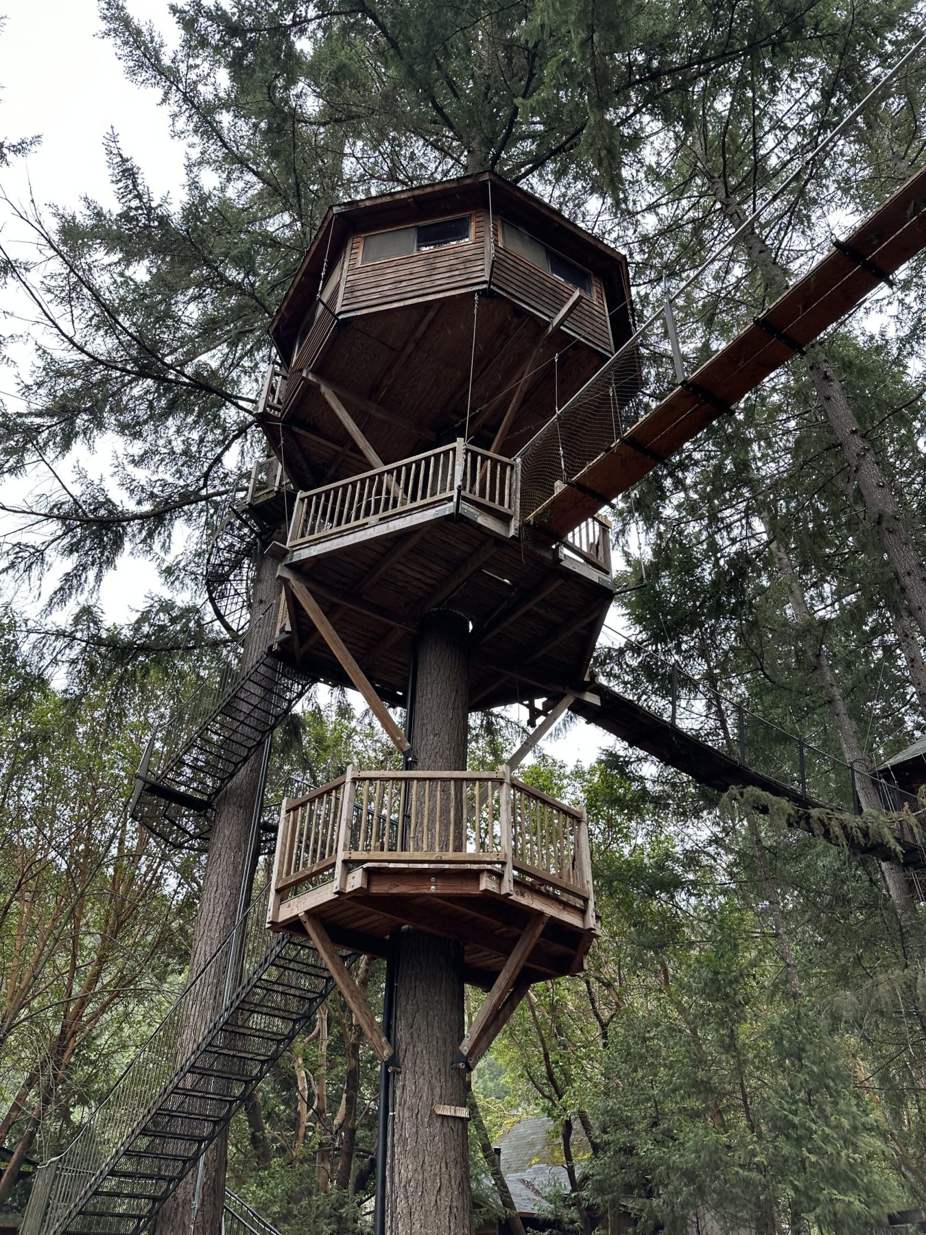 Places to Stay near the Redwoods - treehouse