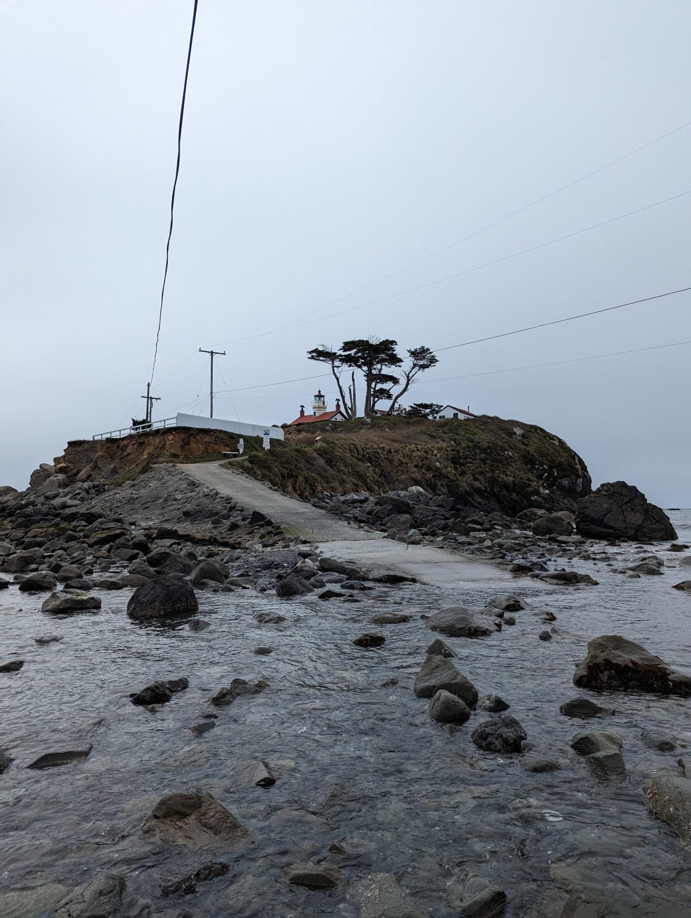 Redwoods national forest tide pools