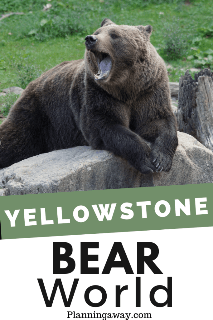 Bear World Idaho Pin for Pinterest 