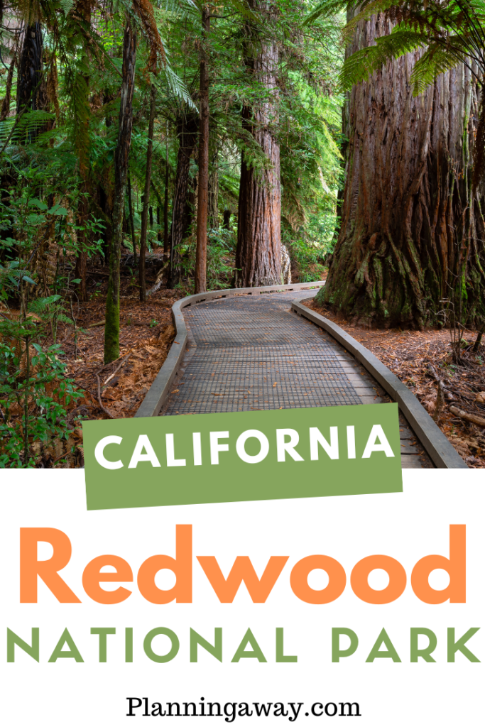 Things to do at Redwood National Park Pin for Pinterest