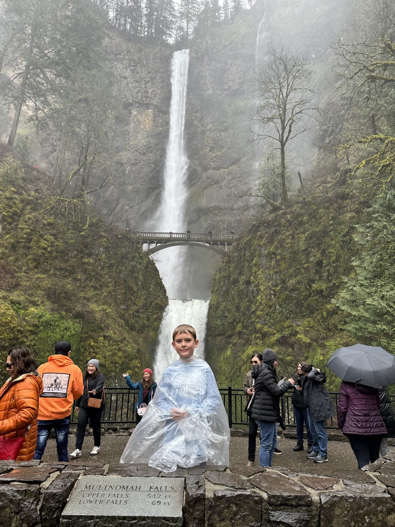 Multnomah Falls Viewpoint