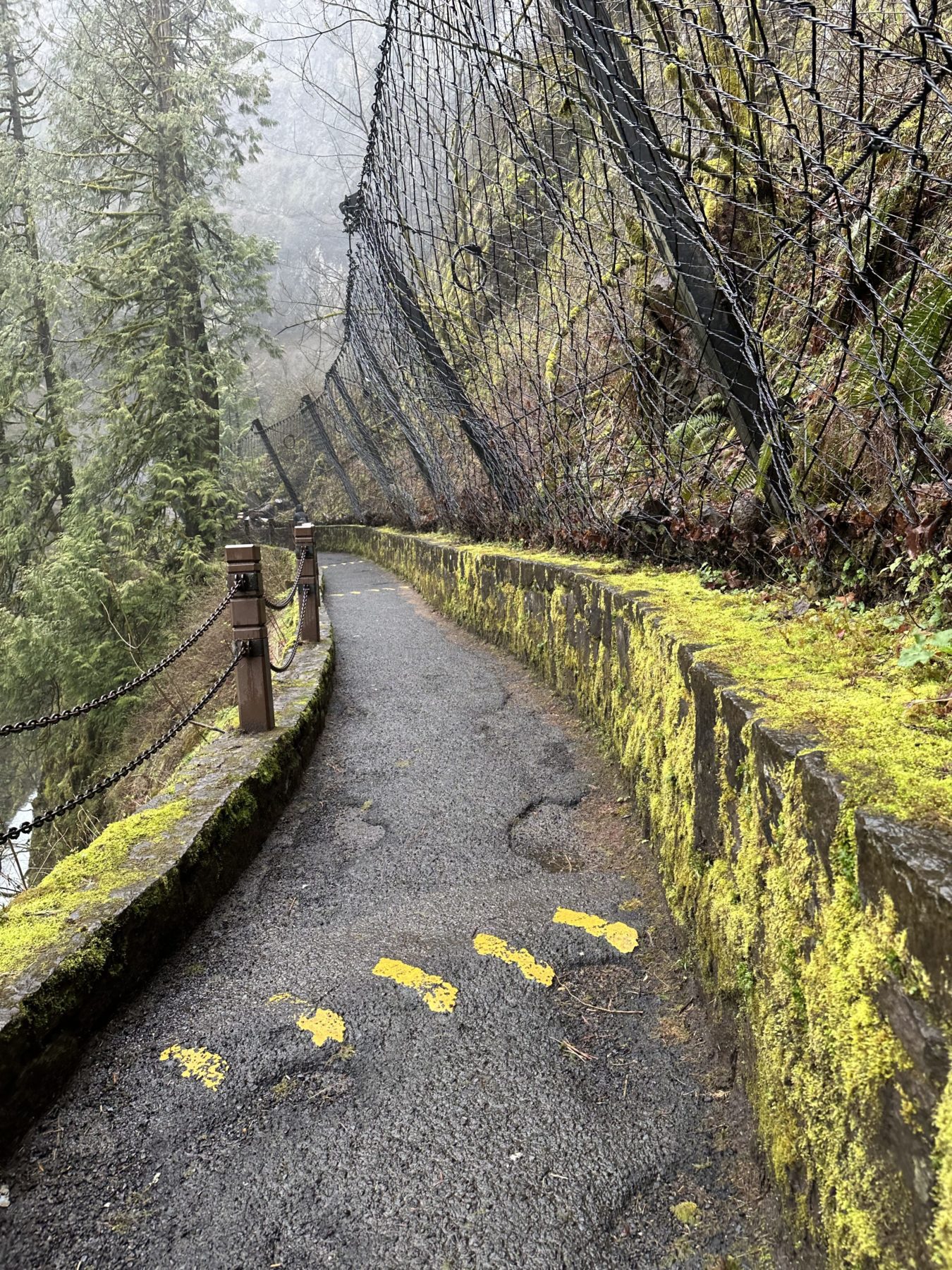 Multnomah Falls hike to the Bridge