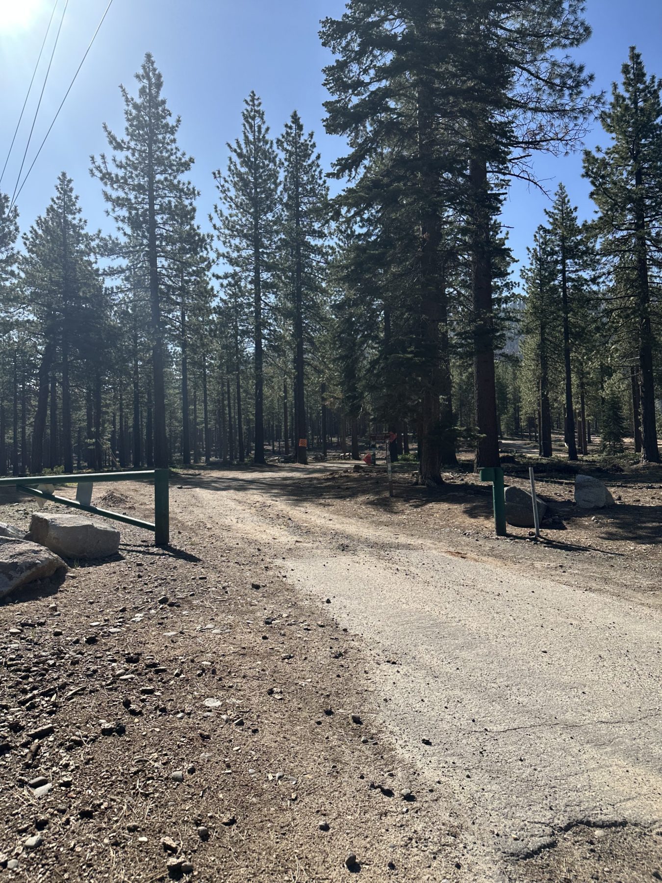 Best Tahoe HIkes - Big Meadows