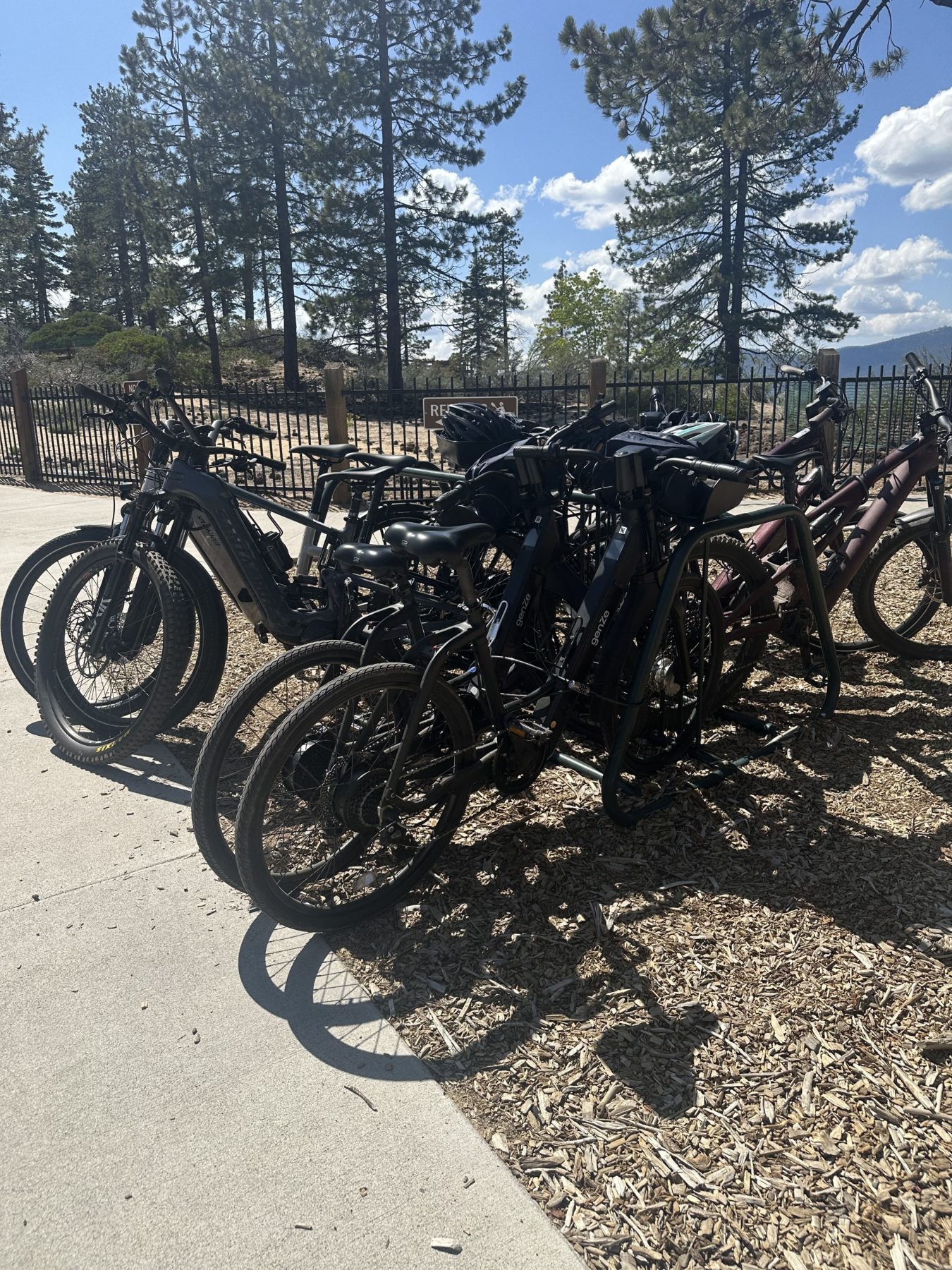 Lake Tahoe Biking