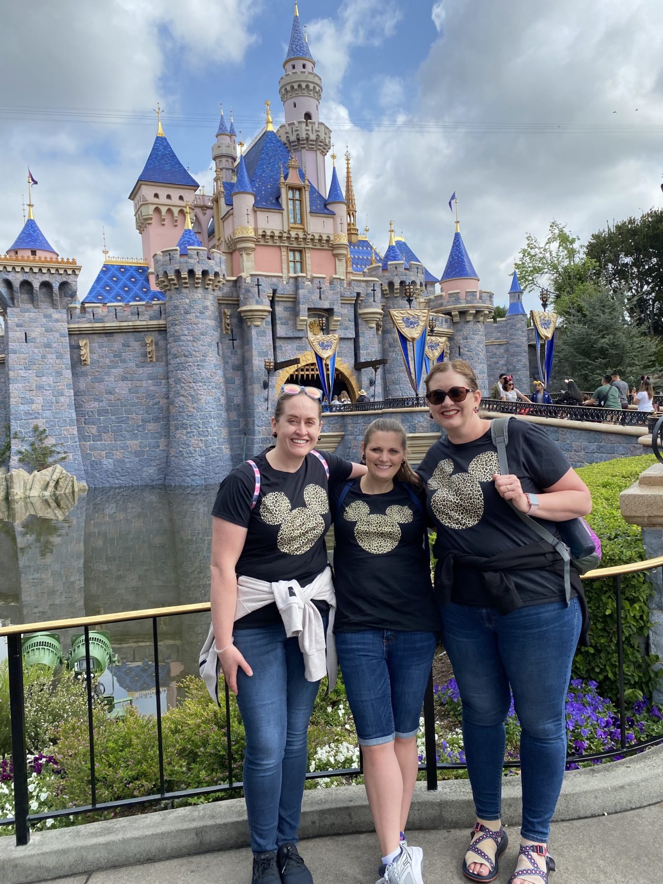 Disneyland for Adults