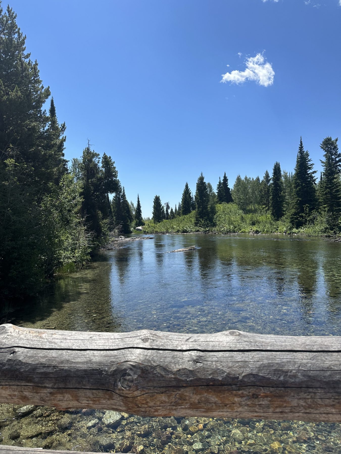 Jenny Lake HIkes