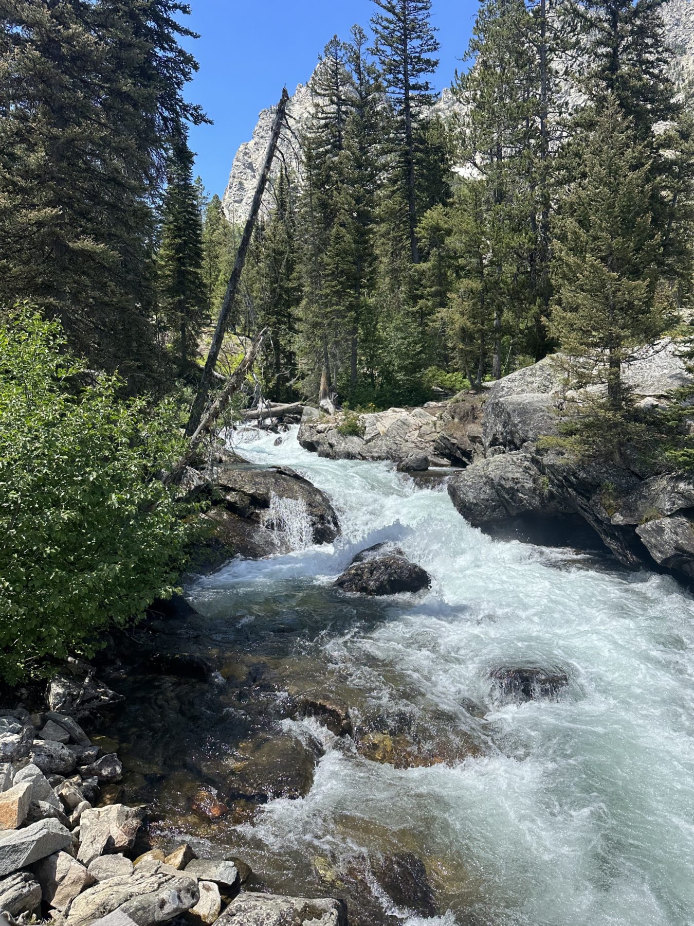 Jenny Lake Hidden Falls Hikes