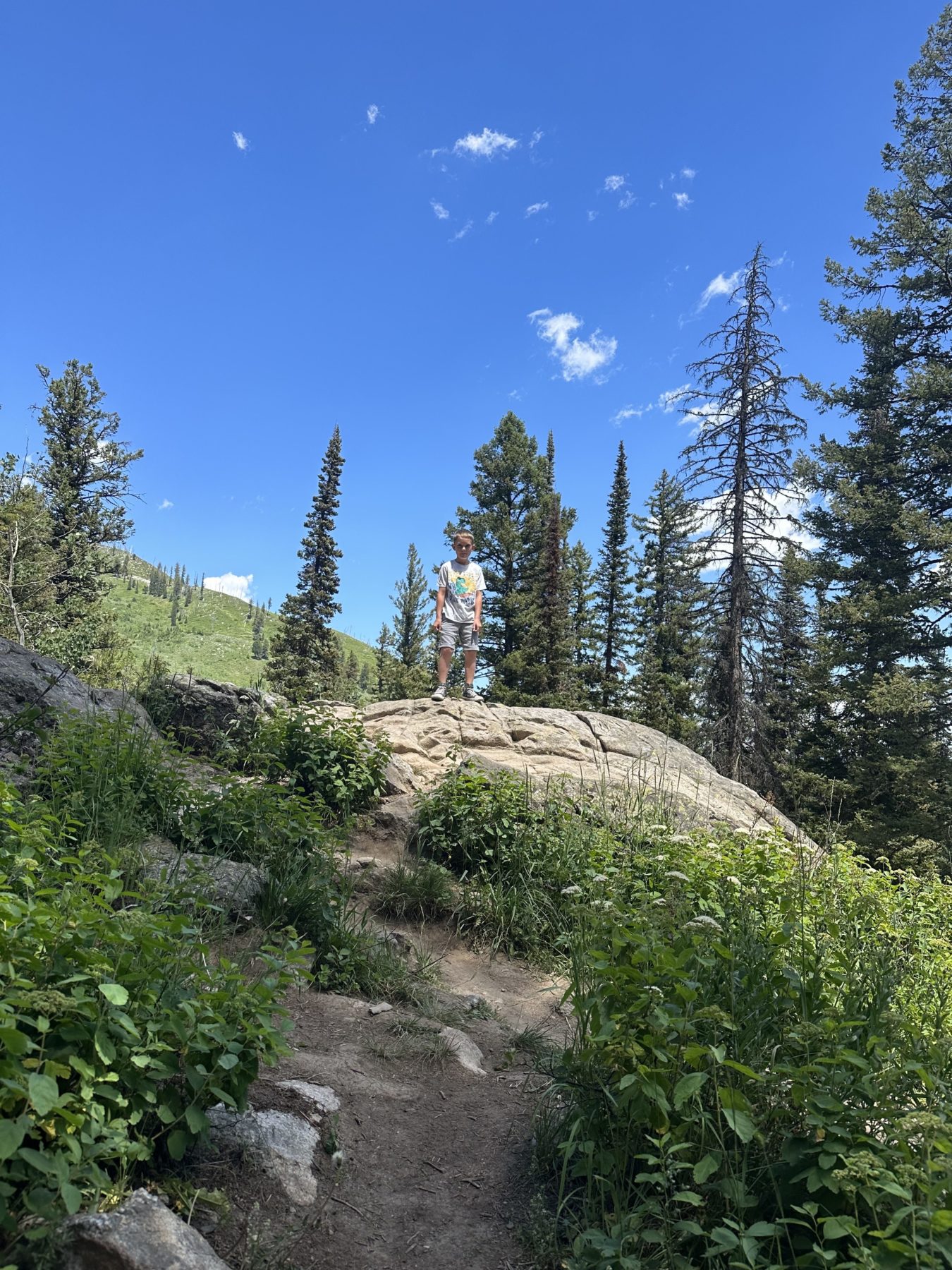 Jenny Lake Hiking