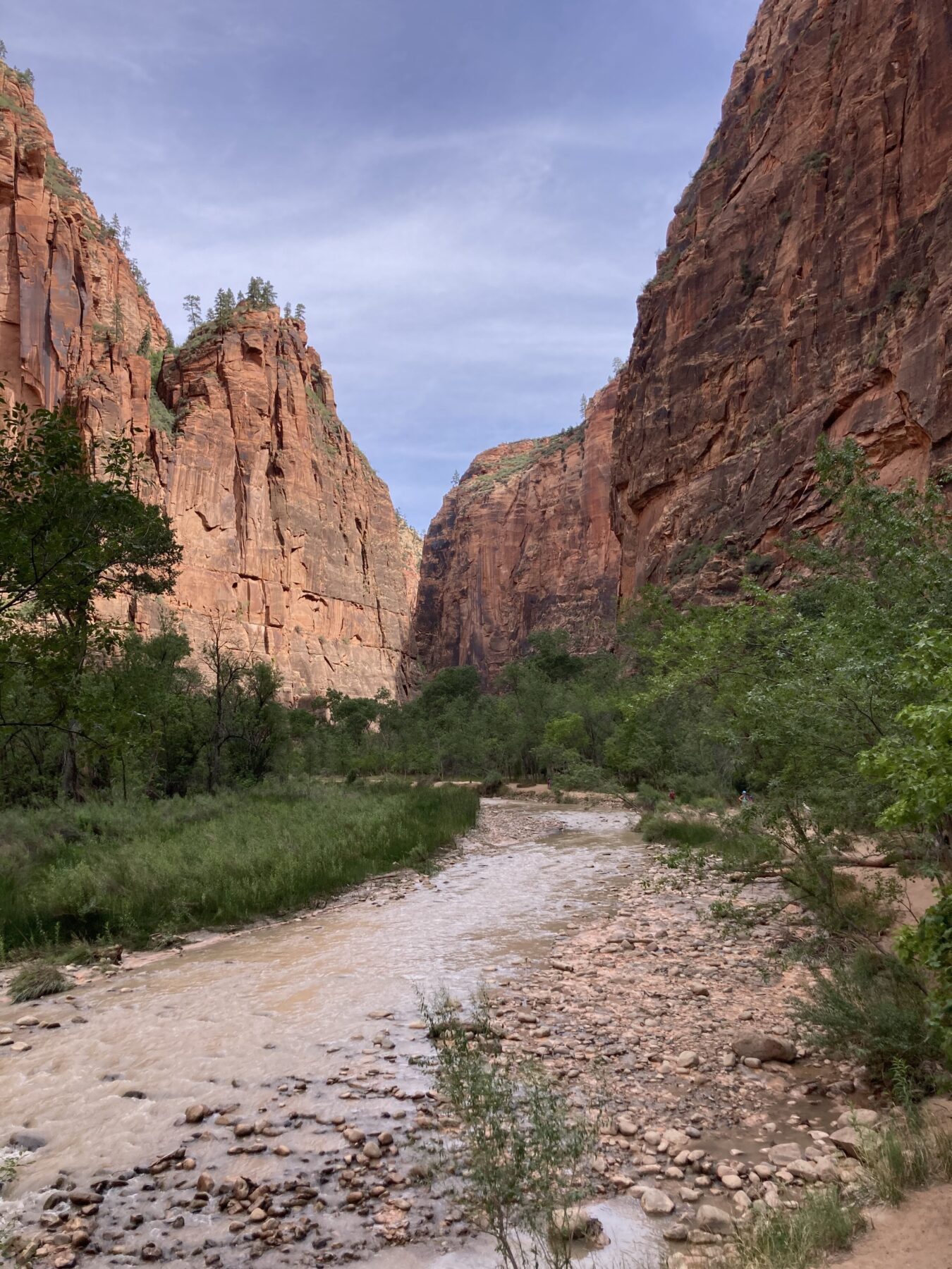 Zion National Park Tour