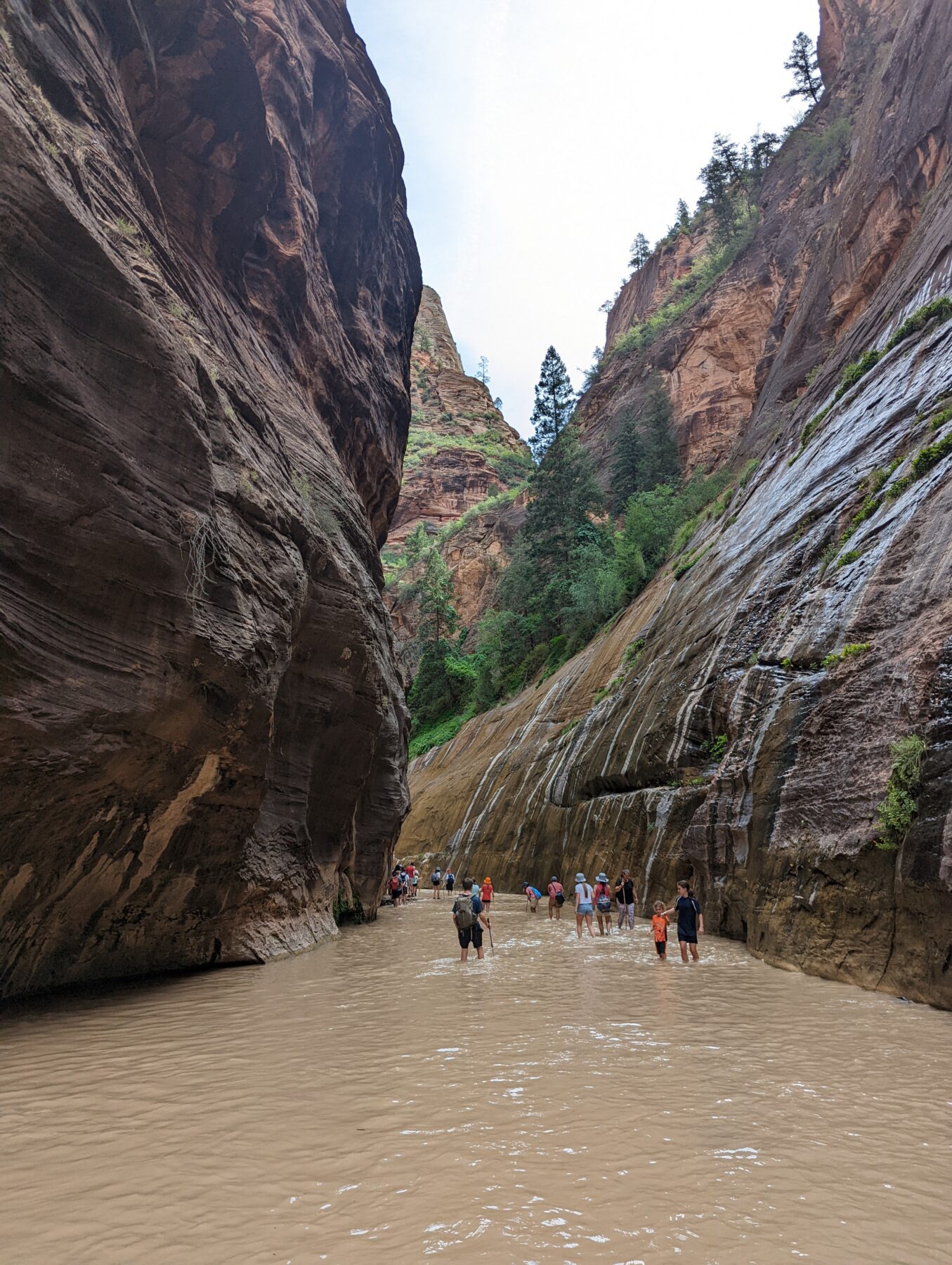 Zion National Park tour guides