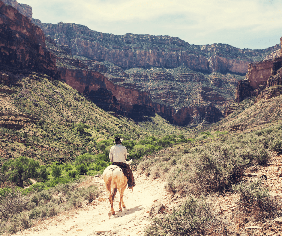 Grand Canyon horseback riding tour