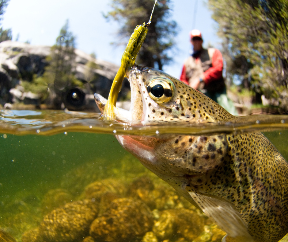 Outdoor Recreation in Midway Fly Fishing