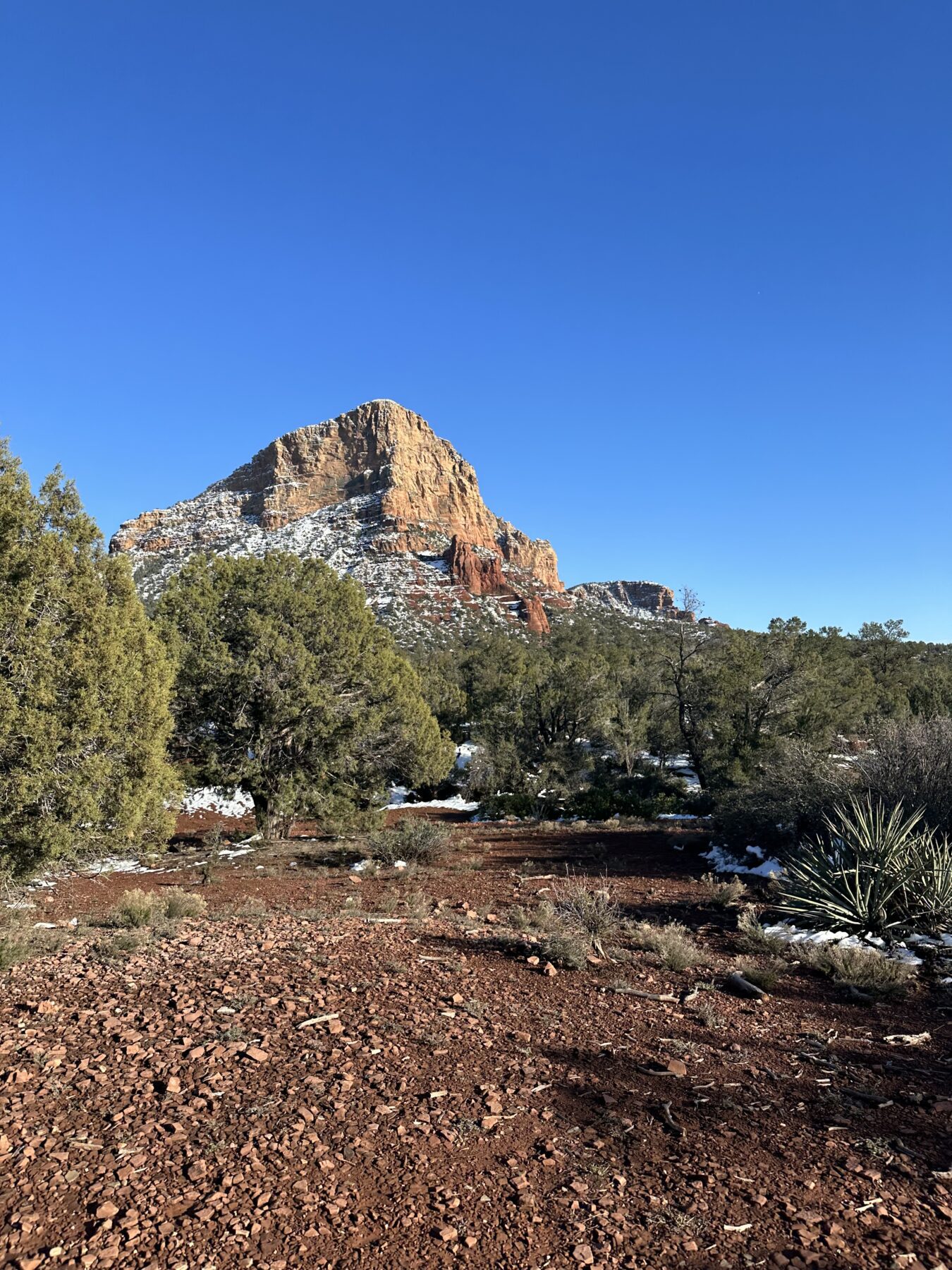 Sedona in December Courthouse Butte Trail