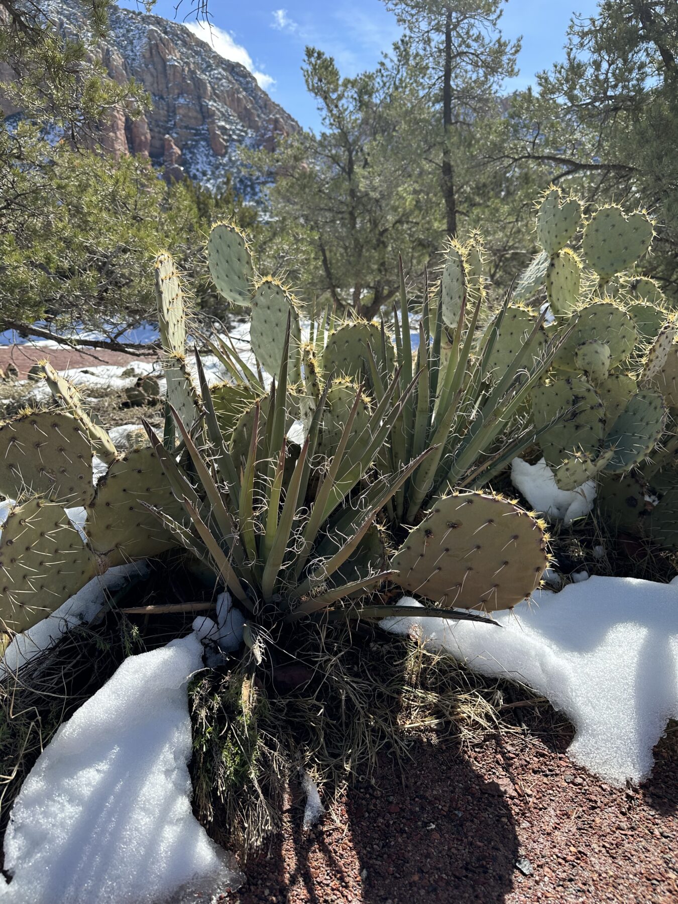 stuff to do in Sedona in Winter