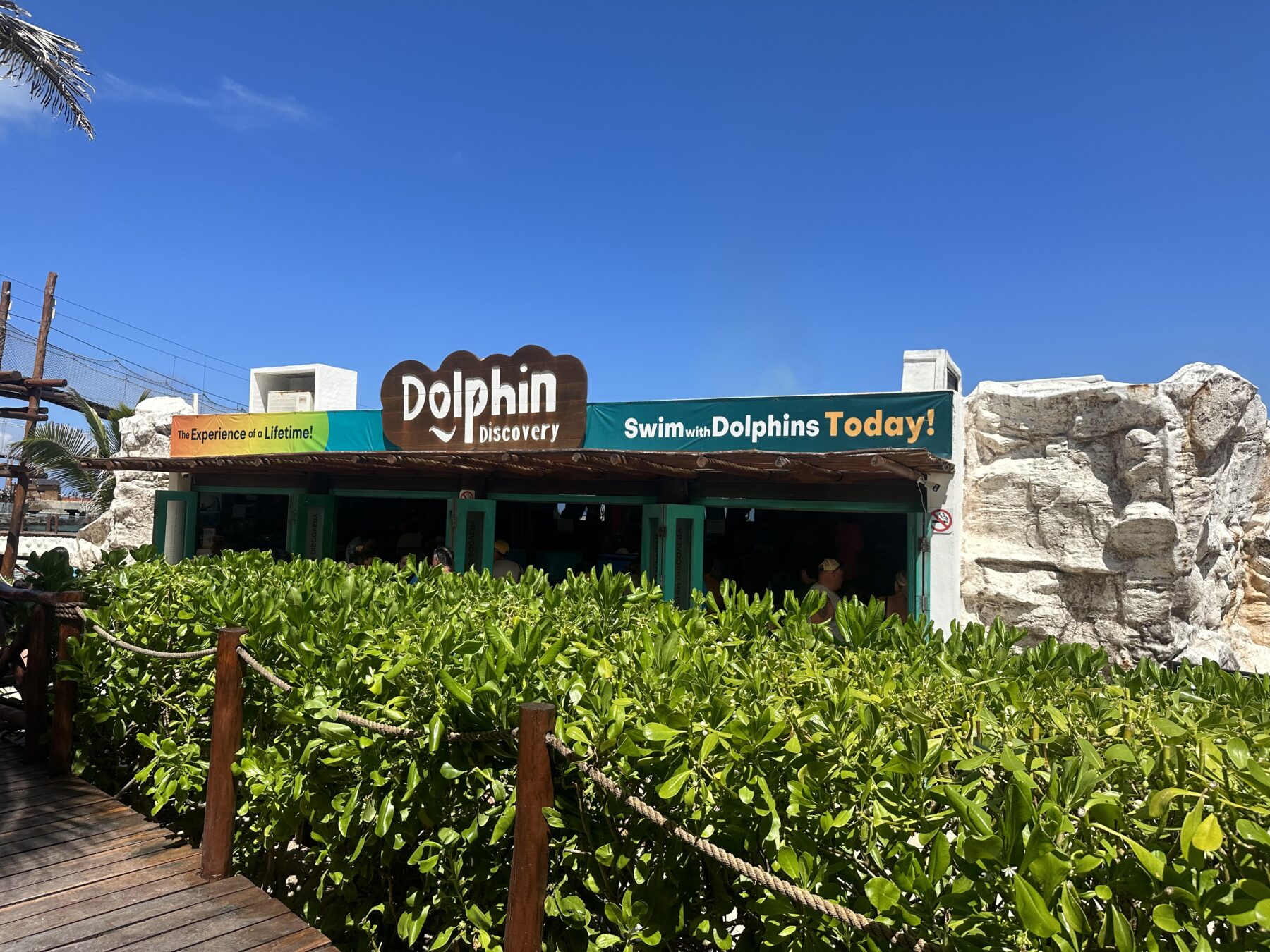 Best things to do in Costa Maya - Dolphin excursion