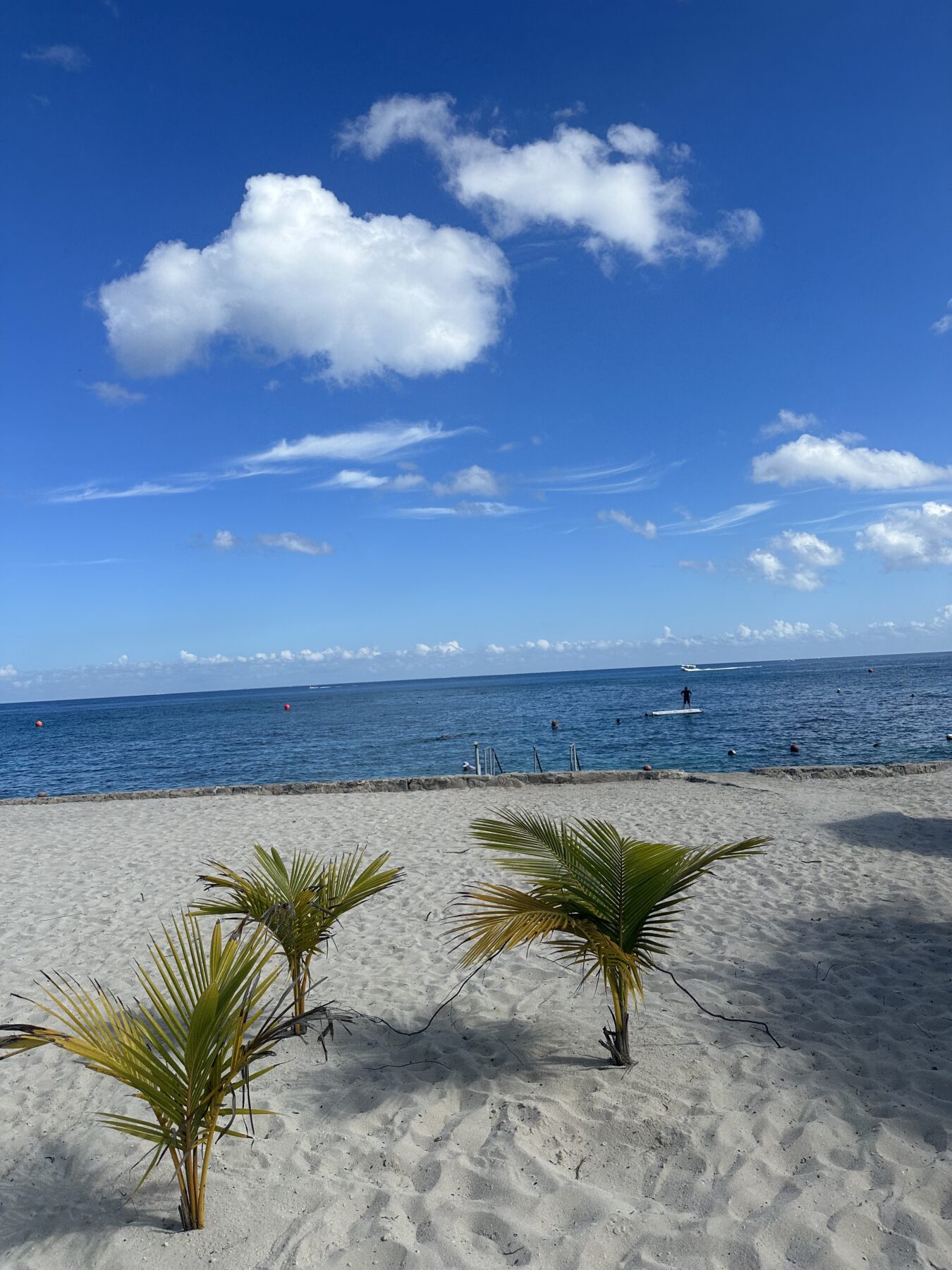Chankanaab Park Cozumel Beach Adventure Park