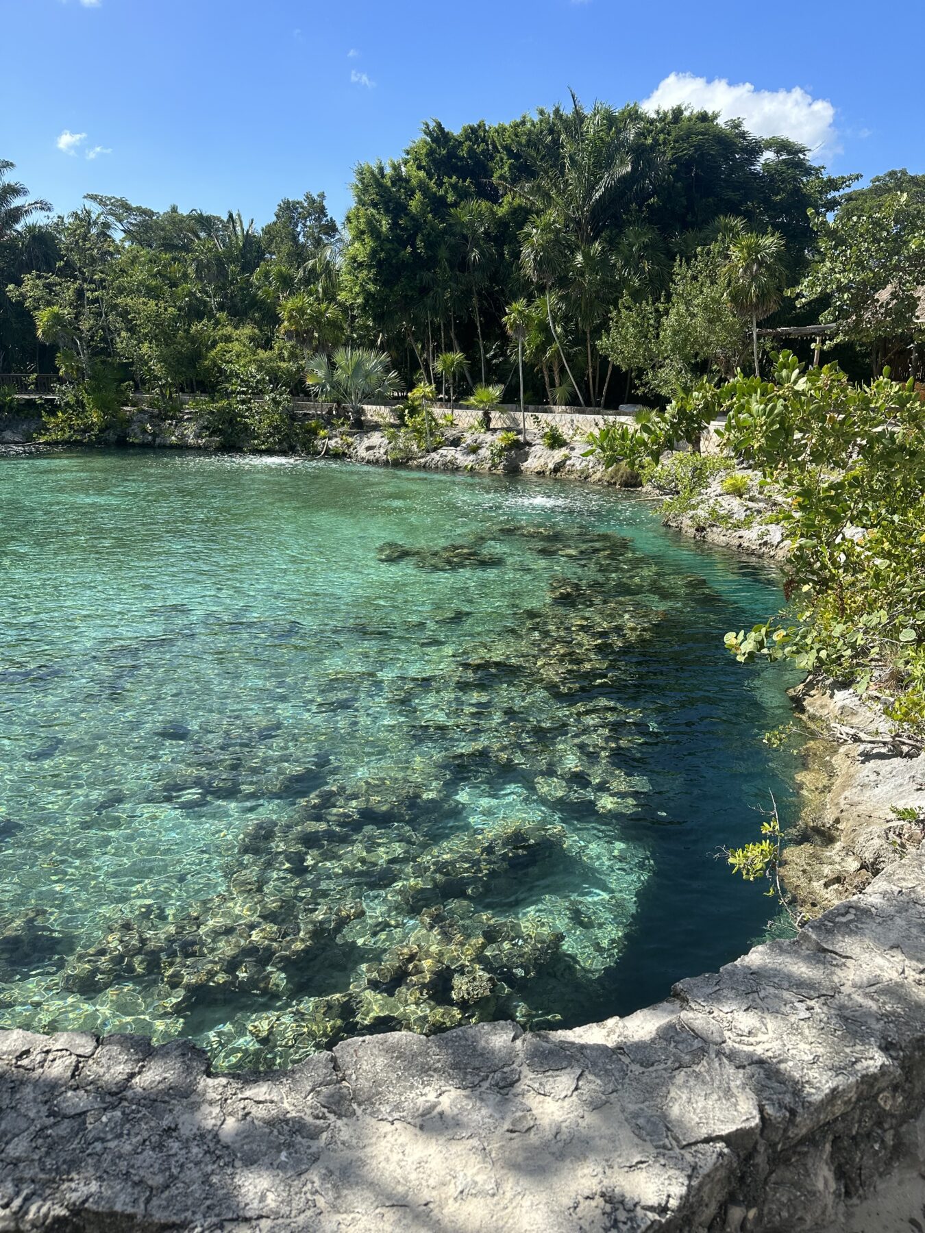 Chankanaab Beach Adventure Park Cozumel Mexico