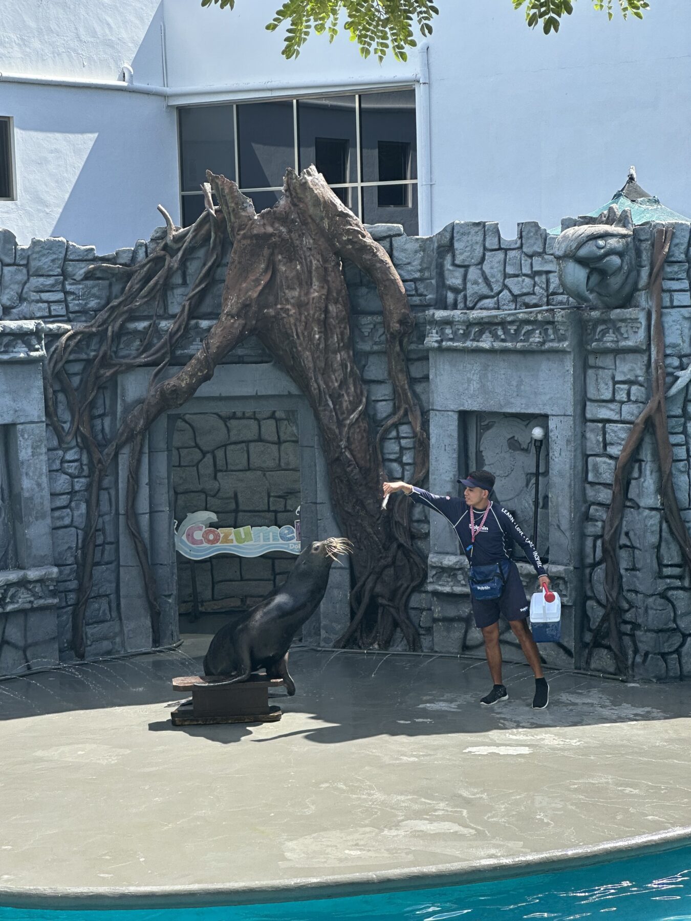 Chankanaab Sealion Show