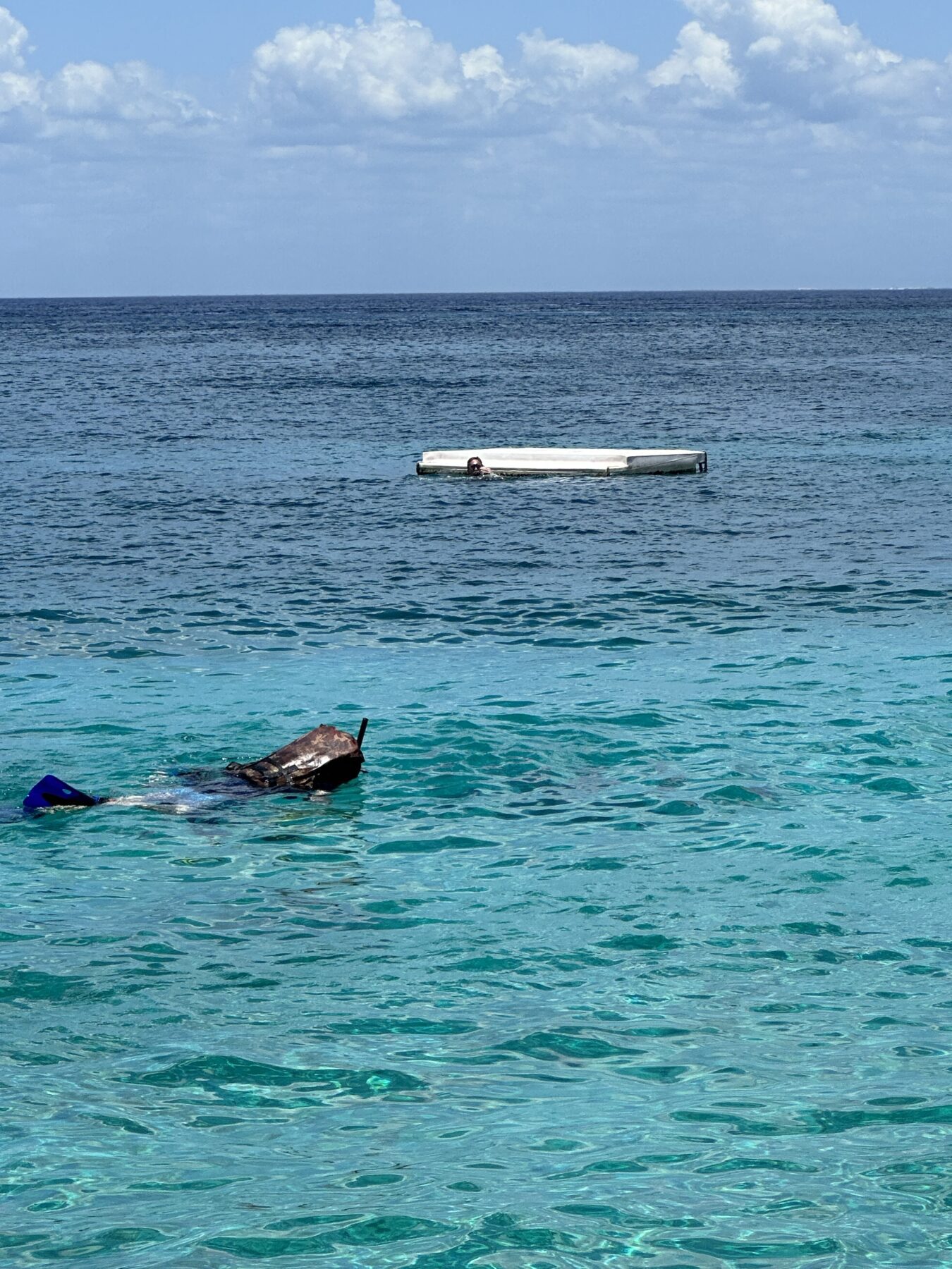 Cozumel Snorkeling Spots at Chankanaab National Park