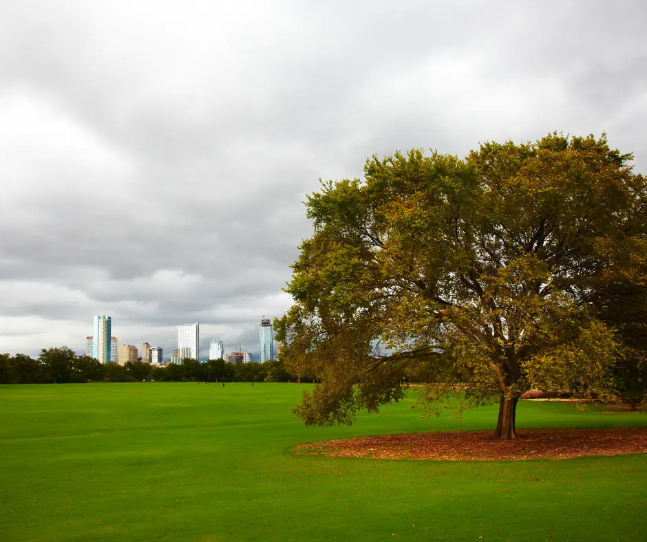 Austin Family fun - Zilker Park