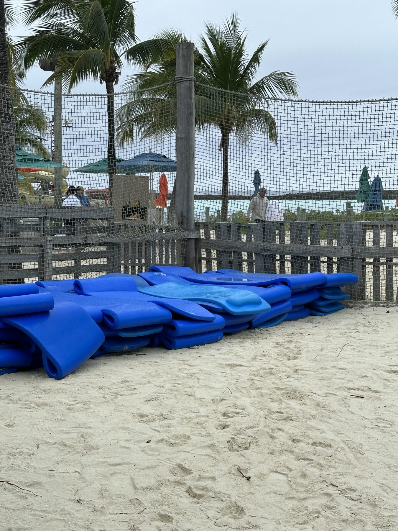 Disney Castaway Cay Float Rentals - blue float