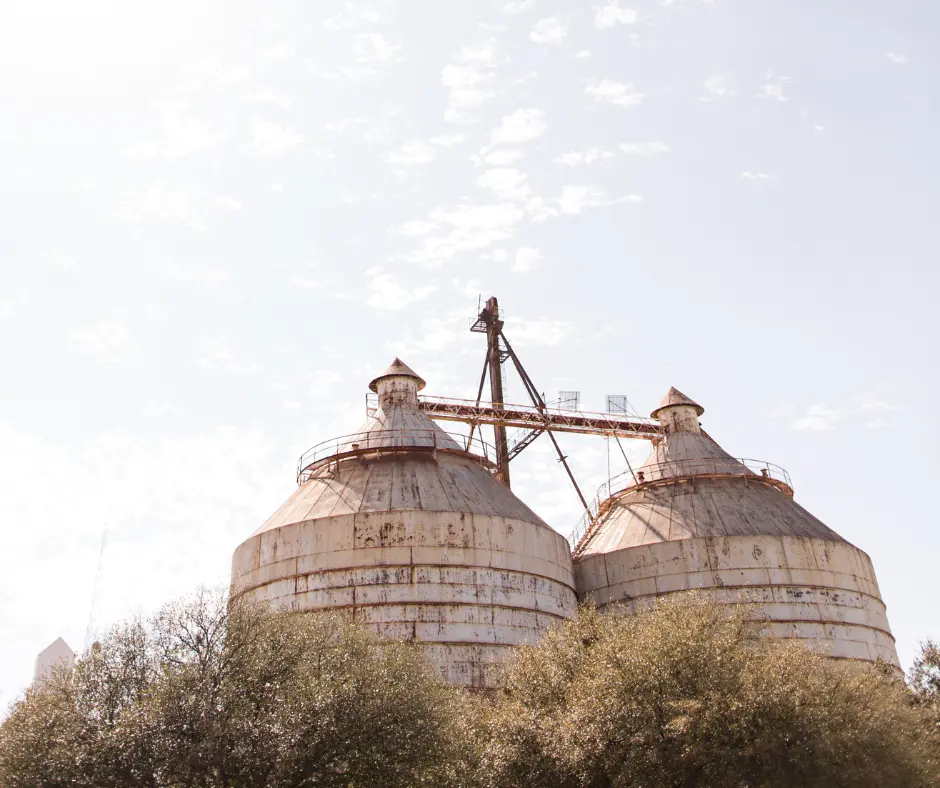 Visiting Magnolia Market 