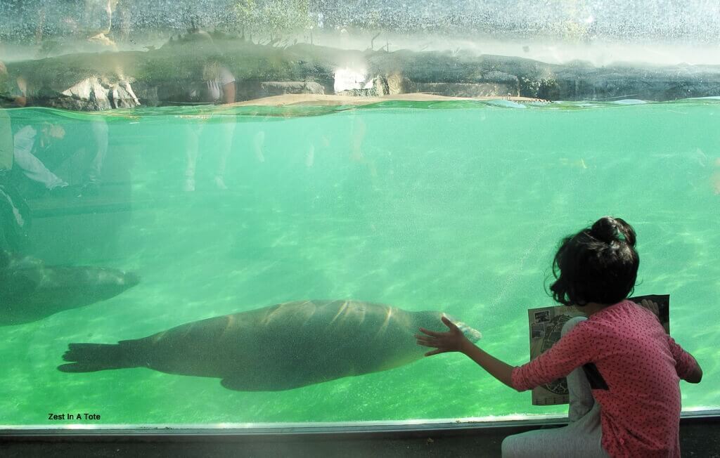 Europe with kids Berlin Zoo