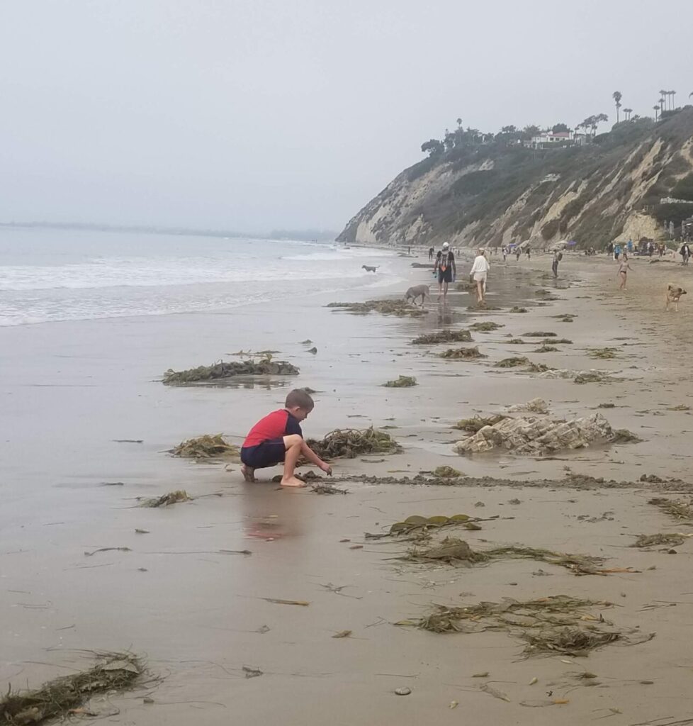 California family trip to Santa Barbara