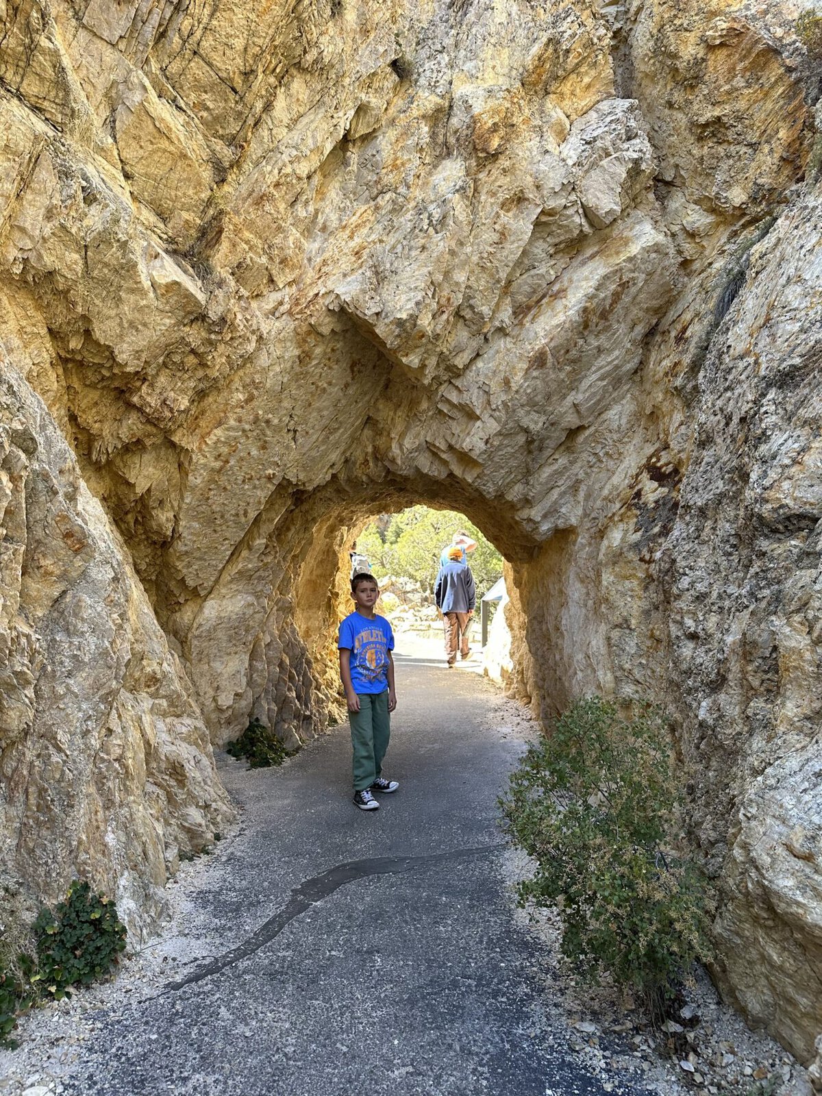 mt Timpanogos Cave trail